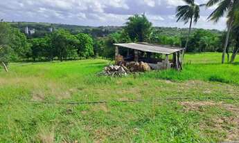 Imagem 7: Lote à venda em rua pública, JARDIM, Nossa Senhora do Socorro, SE