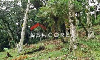 Imagem 5: Lote em Rua dos Pessegueiros - Campo do Meio - São Francisco de Paula/RS