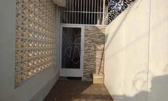 Imagem 4: Locação de Casas / Padrão na cidade de Araraquara