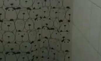 Imagem 4: Linda Casa Térrea