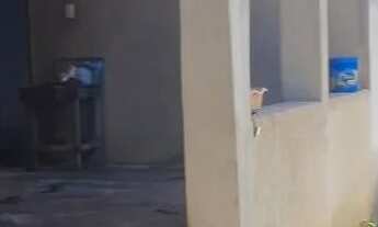 Imagem: Chácara no Morada Nova