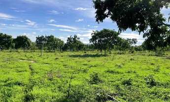 Imagem: Sitio de 7 hectares na região barreiro