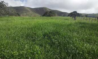 Imagem: José Rosendo dos Santos