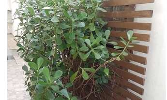 Imagem 2: Condomínio no calhau. Condomínio Barcelona