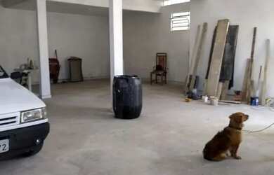 Imagem 6: Salão Comercial - Aluga em Itaquera