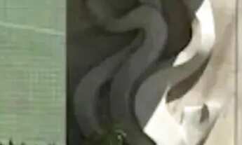 Imagem 3: Imóvel para aluguel possui 54 metros quadrados com 2 quartos em Pina - Recife - PE