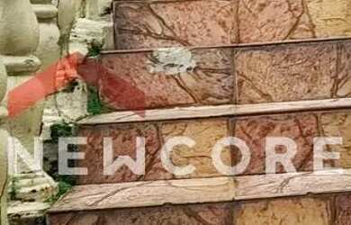 Imagem 7: Casa em Rua Quaresmeira - Alto das Flores - Betim/MG