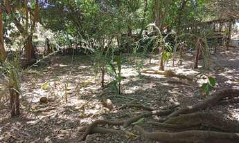 Imagem 5: Vende uma chácara a 75 km de Goiânia com 2 represa mais um rio no fundo