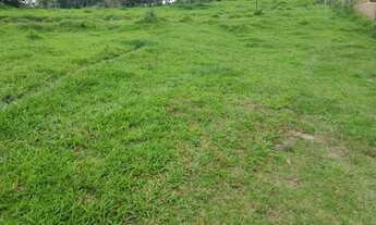 Imagem 2: Arrendamento Ibaiti-Pr