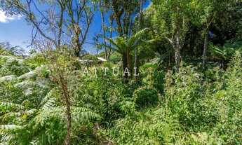 Imagem 4: CANELA - Terreno Padrão - Alpes Verdes