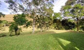 Imagem 5: Sitio rural a venda em Secretário