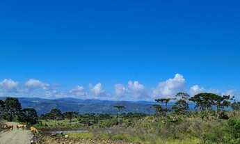 Imagem 2: Fazenda/Sítio/Chácara / Francisco Krtiscka Corretor de Imóveis