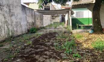 Imagem 4: TERRENO NA CASA VERDE - 336 M2 - 8,00 X 42,00 - PLANO