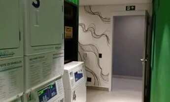 Imagem 3: RUA BARTOLOMEU DE GUSMAO ,488 - LINDO ! ÚNICO!