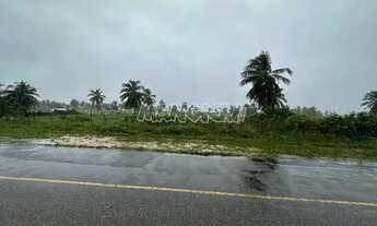 Imagem 4: Terreno à venda na Barra dos Coqueiros