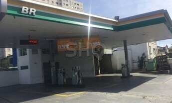 Imagem 2: Terreno, Vila Monumento - São Paulo