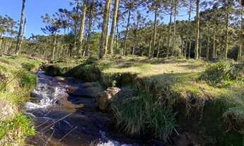 Imagem 7: OPORTUNIDADE BARATA NA SERRA CATARINENSE EM LOCAL ONDE NEVA!