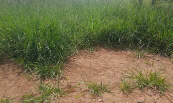 Imagem 3: Chácara Terezópolis 1.000 metros troca por veículos