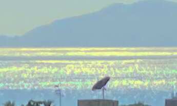 Imagem 4: Apartamento para venda tem 80 metros quadrados com 2 quartos na Praia do Tombo - Guarujá