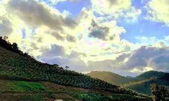 Imagem 6: Chácara em Marechal floriano