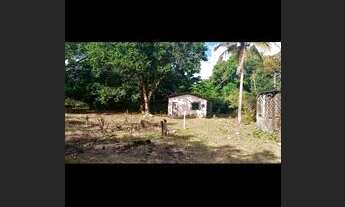 Imagem 4: Vende-se sitio Chácara com venda por R$270.000