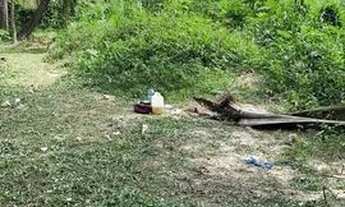 Imagem 4: Terreno no Rio Piorini 36x36