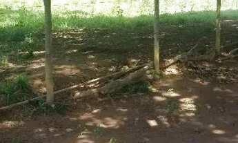 Imagem 3: Terreno rural 15.000m2, Comunidade ponte Ferro