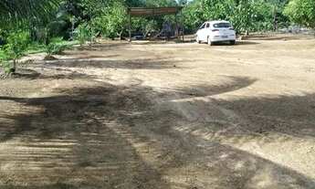 Imagem 3: Terreno frutífero em condomínio