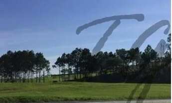 Imagem: TERRENO INDUSTRIAL em SOROCABA - SP, AVENIDA