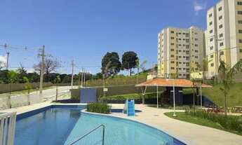 Imagem 4: Leve Castanheiras