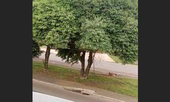 Imagem 5: Aluguel setor O Casa com 2 dormitórios