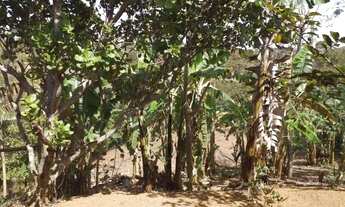 Imagem 3: Chácara em Bonfinópolis