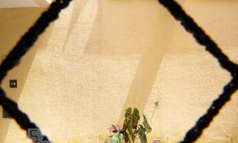 Imagem 5: Apartamento para Aluguel - Cipava, 3 Quartos, 95 m2