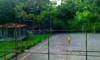 Imagem 4: Cabelos naturais cacheados