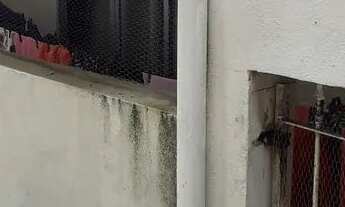 Imagem 5: Casa no Jd iguatemi