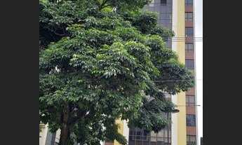 Imagem 6: CONJ. COMERCIAL - CHÁCARA SANTO ANTONIO - SP