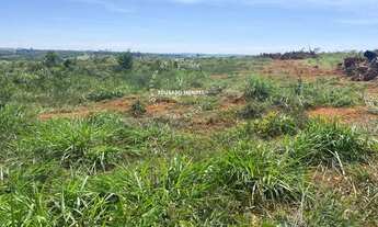 Imagem 6: Terra p/ plantio de lavouras, eucalipto, ou gado, 10 alqueires - Abadiânia - GO