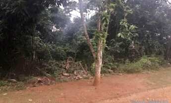 Imagem 2: TERRENO EM CONDOMÍNIO - CHÁCARAS COLINAS VERDES - SP