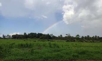 Imagem 6: SÍTIO EM SÃO GONÇALO - 19,9