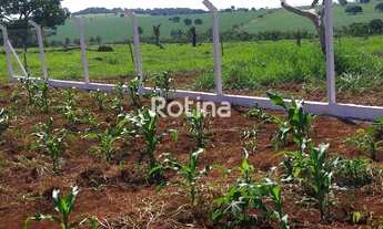 Imagem 6: Terreno à venda, Distrito Industrial - Uberlândia/MG - Rotina Imobiliária