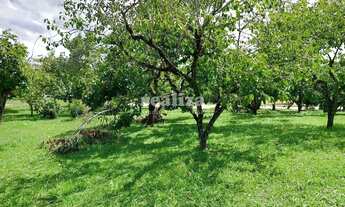 Imagem 4: TERRENO EM GRAMADO