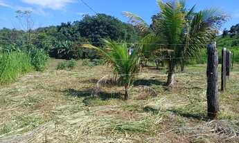 Imagem 5: Chácara próximo a palmas. Oportunidade de negócio!