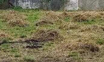 Imagem 3: Terreno plano grande, com 1000 m² no Campestre, ao lado da Figueiras-Santo André