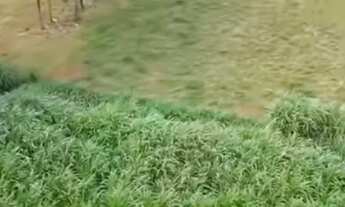 Imagem 2: Sítio próximo campina verde