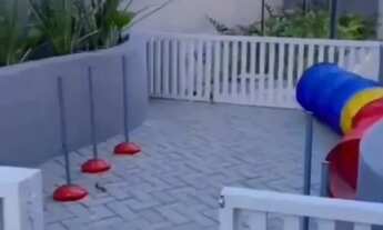 Imagem 5: Locação Disponível Mobiliado Altiplano