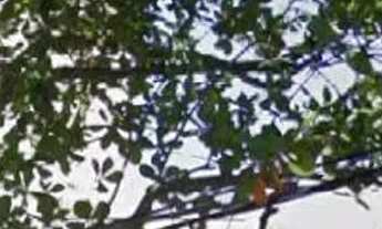 Imagem: Sala para alugar, 40 m² por R$ 3.200,00/mês