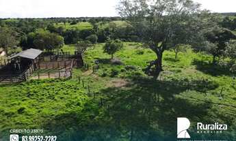 Imagem 6: Palmas - TO 14 km do asfalto e 60 km de Palmas