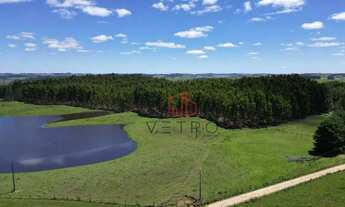 Imagem 3: Sítio à Venda em São Francisco de Paula!