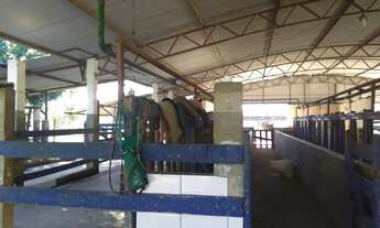 Imagem 6: Venda-se está fazenda Belíssima de 47 Alqueires no estado do Rio de Janeiro/RJ