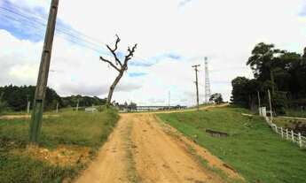 Imagem 3: Chácara à venda Bairro Contenda em São José dos Pinhais